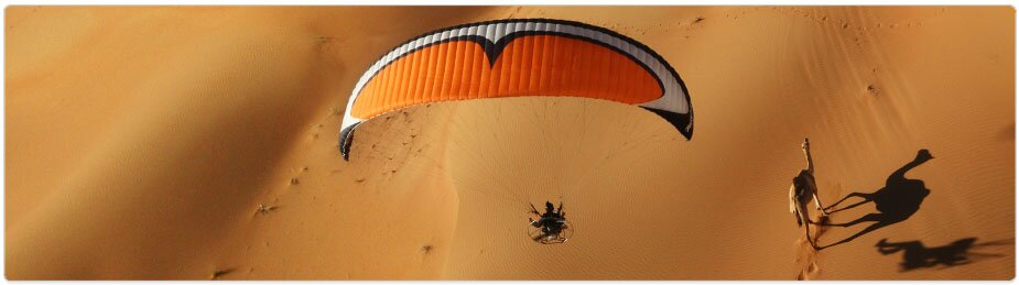 Paramania Reflex Wings