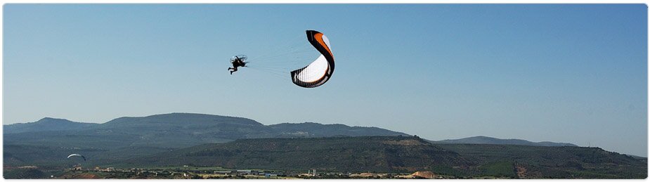 Paramania Reflex Wings